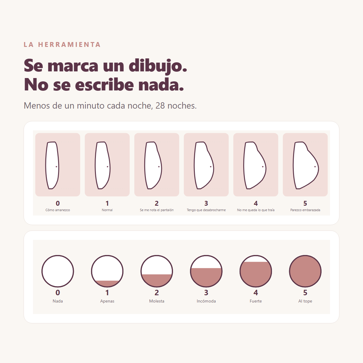 La escala visual de la bitacora