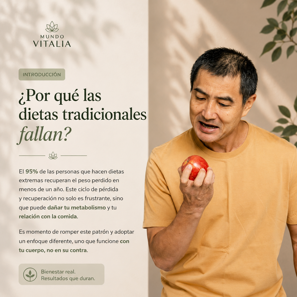 El Metodo de las 3 Comidas